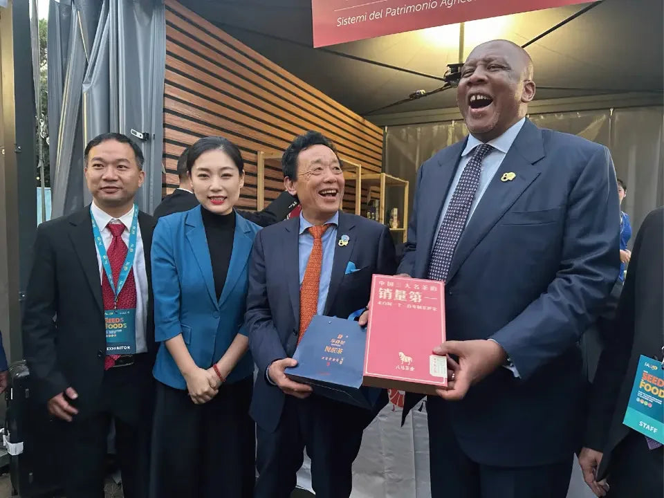 国际茶文化交流