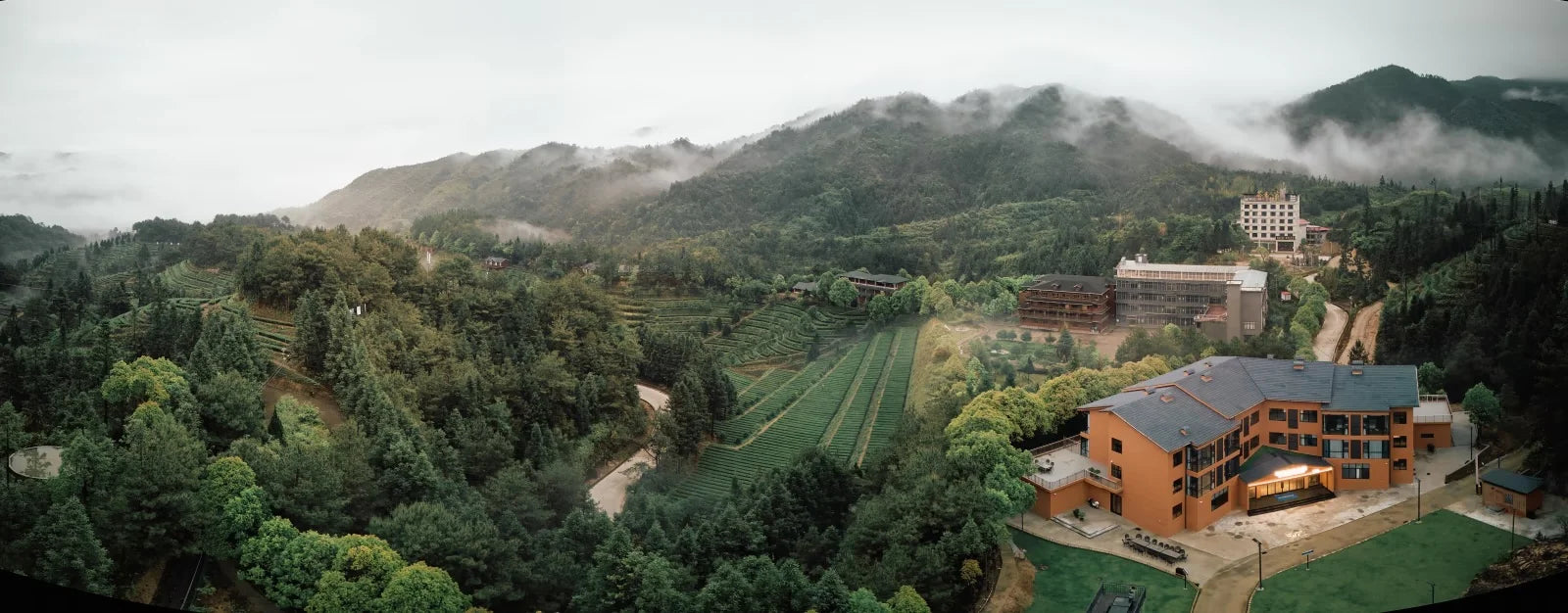 武夷山岩茶茶庄园