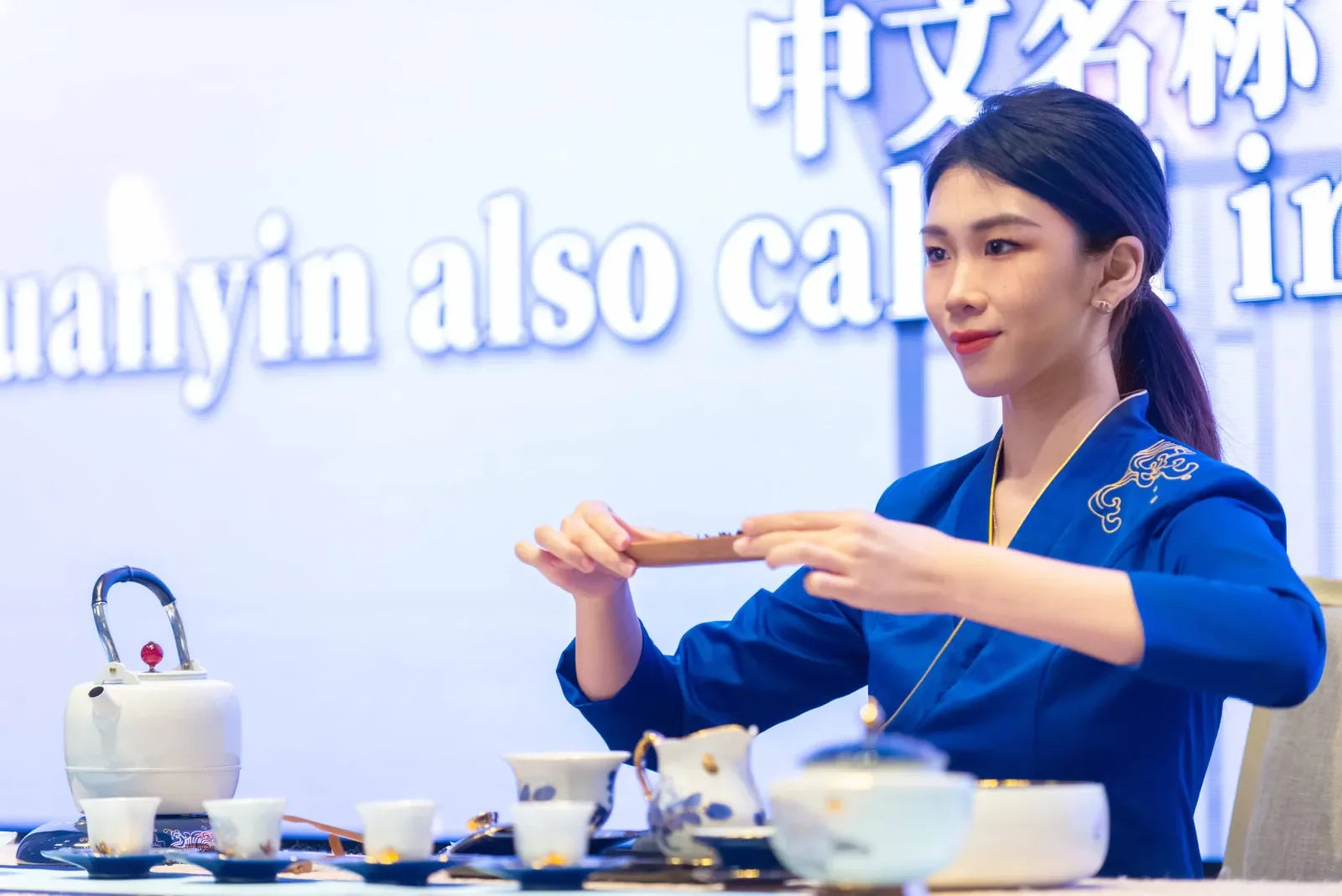 全球巡回展记录