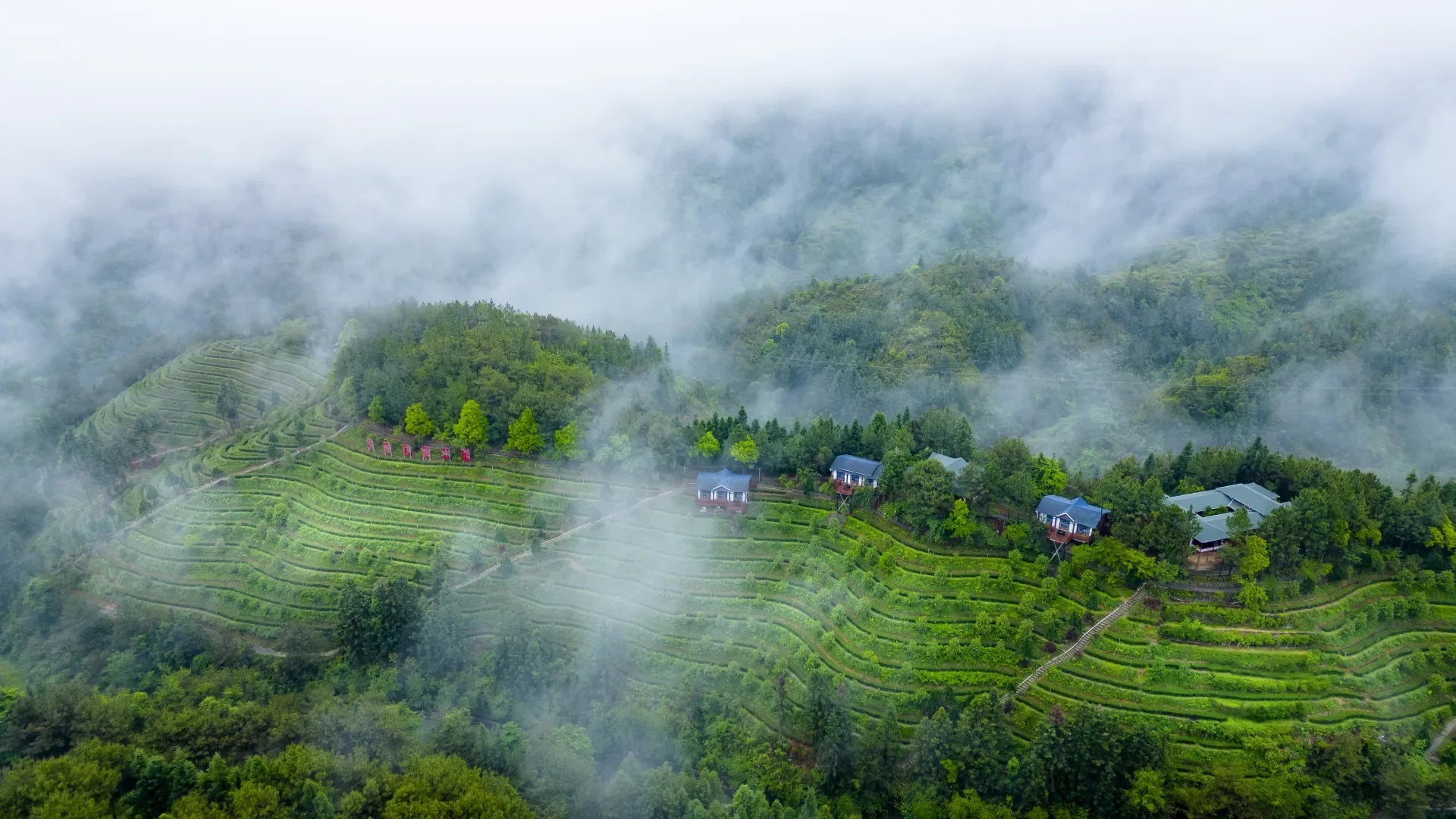 云雾中的核心茶庄园
